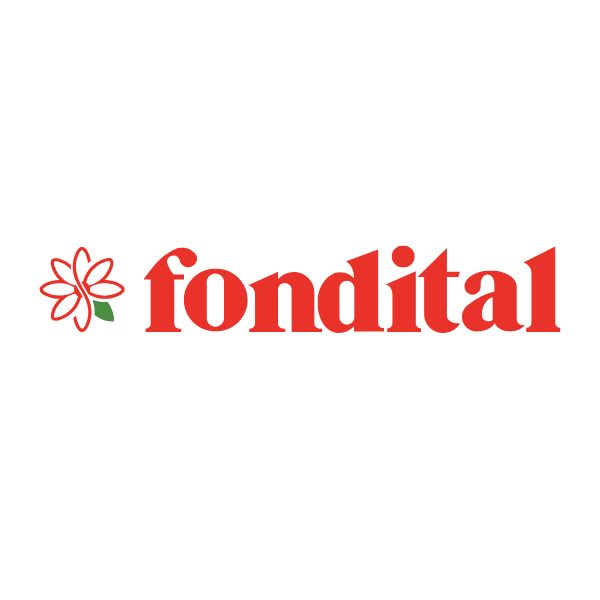 Fondital - nuovo e ok